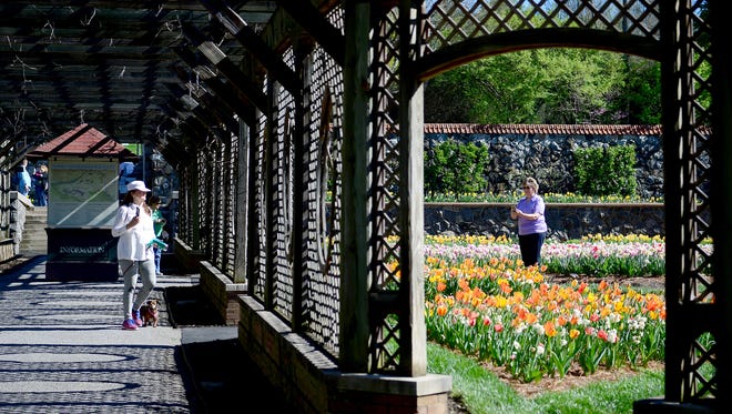 Donna Ghassemieh, with her dog, Jay, left, and Terri Jensen take in the flowers in the Walled Garden of the Biltmore Estate on Tuesday, April 4, 2017.