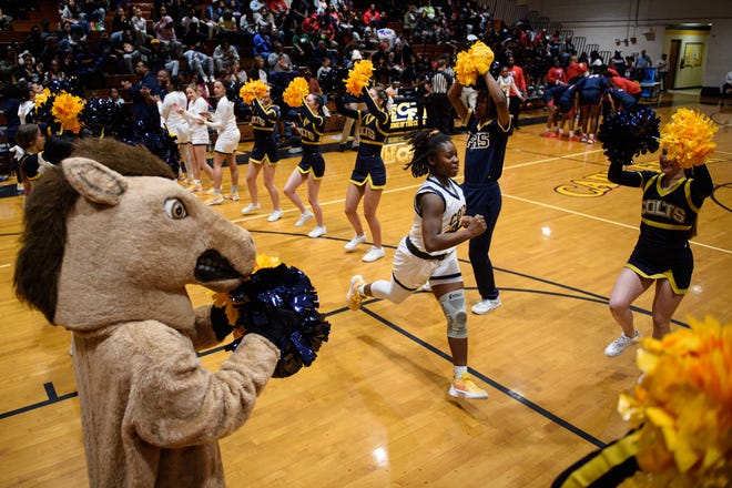 Terry Sanford at Cape Fear girls’ basketball playoff game on Friday, March 8, 2024.