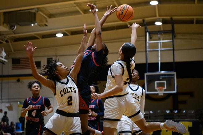 Terry Sanford at Cape Fear girls’ basketball playoff game on Friday, March 8, 2024.