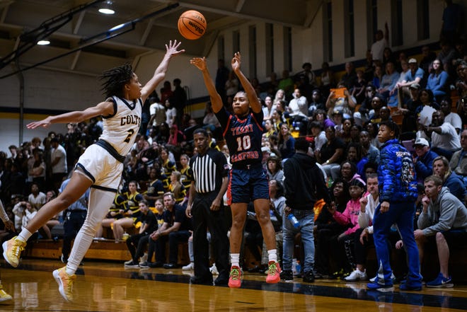 Terry Sanford at Cape Fear girls’ basketball playoff game on Friday, March 8, 2024.