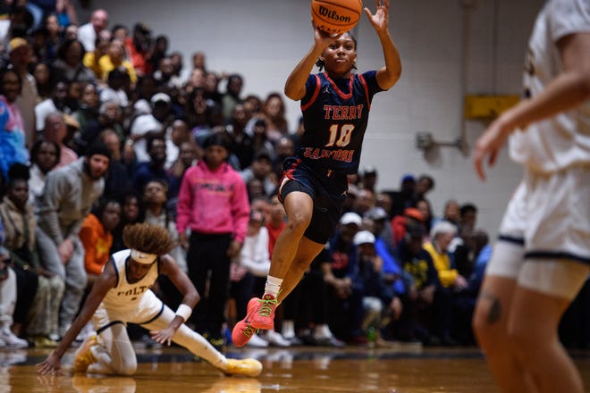 Terry Sanford at Cape Fear girls’ basketball playoff game on Friday, March 8, 2024.